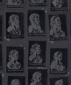 Mind The Gap Emperors Anthracite Wallpaper