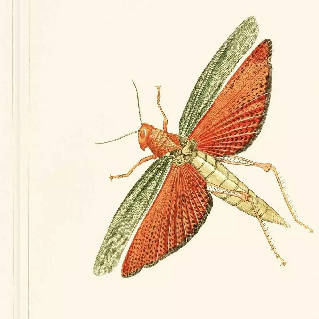 Mind The Gap Entomology Green Wallpaper 7 Mind The Gap Entomology Green Wallpaper