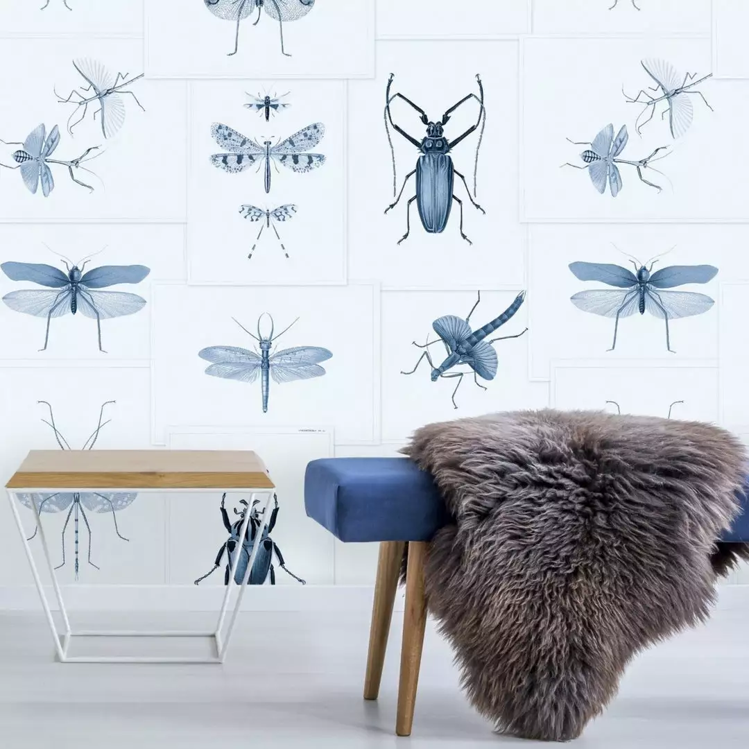 Mind The Gap Entomology Blue Wallpaper 4 Mind The Gap Entomology Blue Wallpaper