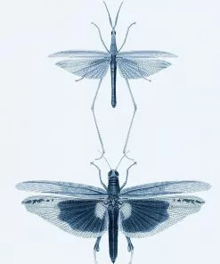 Mind The Gap Entomology Green Wallpaper 10 Mind The Gap Entomology Green Wallpaper