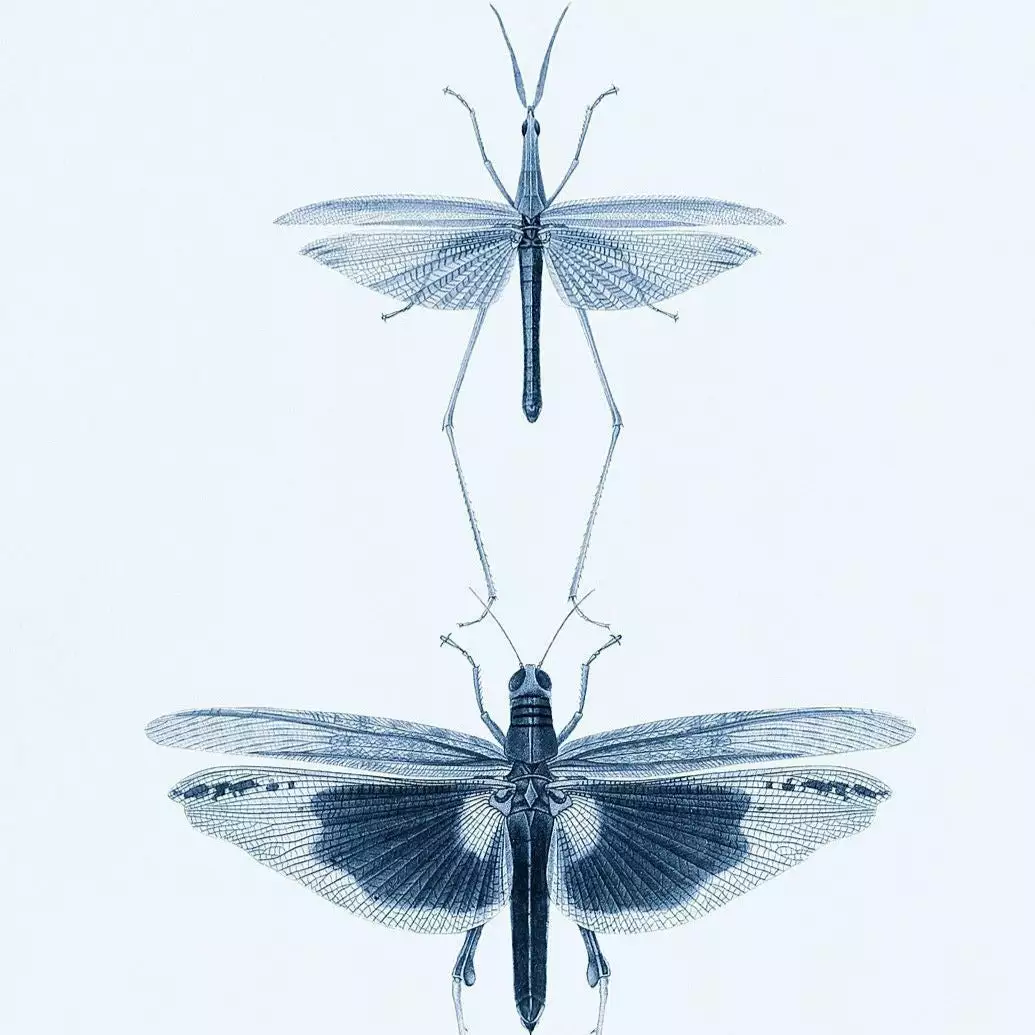 Mind The Gap Entomology Green Wallpaper 5 Mind The Gap Entomology Green Wallpaper