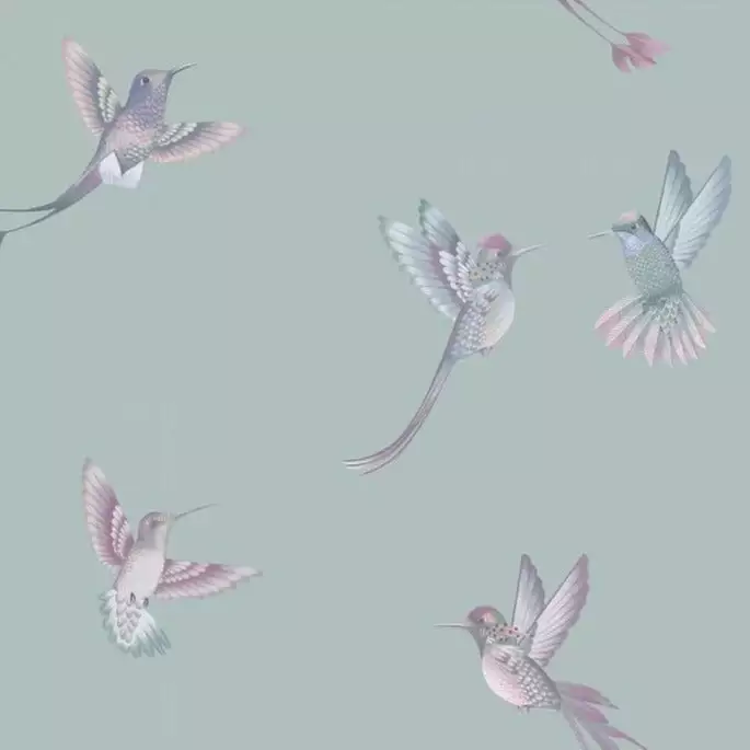 Brand Mckenzie Exotic Birds Wallpaper, Duck Egg Blue 3 Brand Mckenzie Exotic Birds Wallpaper, Duck Egg Blue