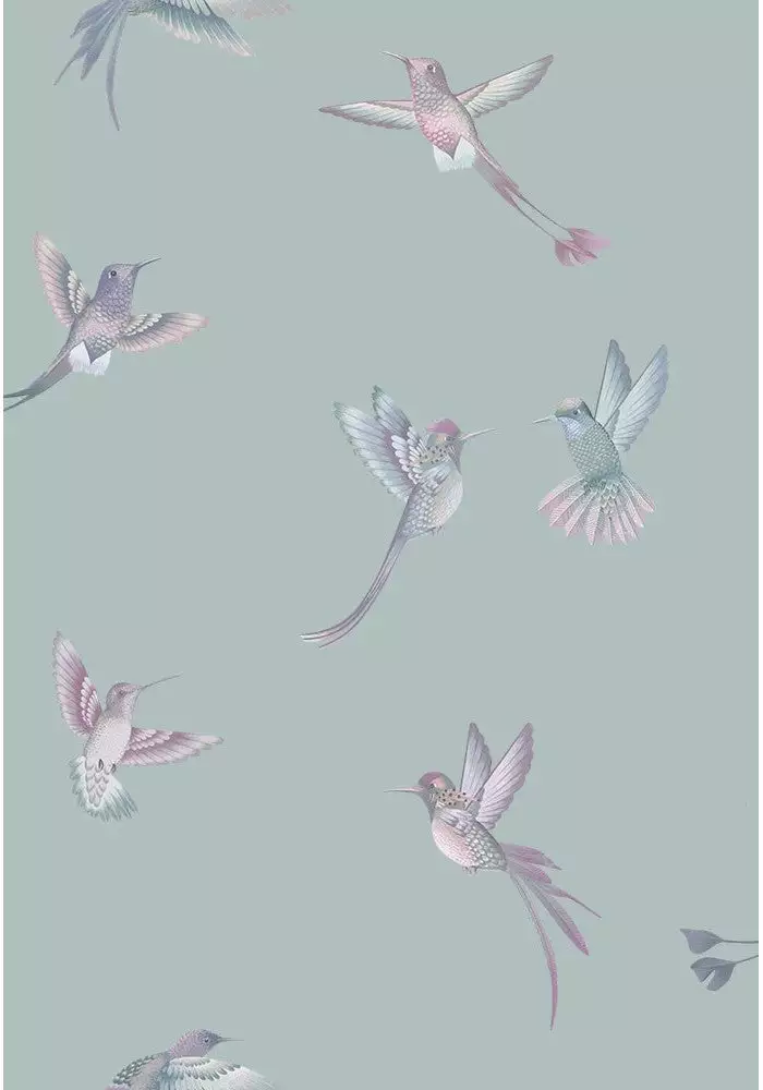 Brand Mckenzie Exotic Birds Wallpaper, Duck Egg Blue 5 Brand Mckenzie Exotic Birds Wallpaper, Duck Egg Blue