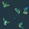 Brand Mckenzie Rose & Thorn Exotic Birds Wallpaper, Midnight Blue 1 Brand Mckenzie Rose & Thorn Exotic Birds Wallpaper, Midnight Blue
