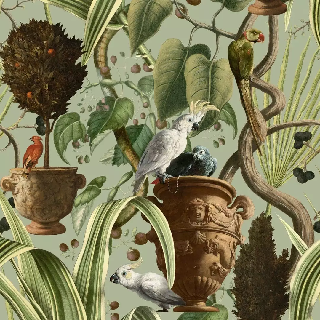 Mind The Gap Exotic Menagerie Dark Wallpaper Wallpaper & Paint 5 Mind The Gap Exotic Menagerie Dark Wallpaper Wallpaper & Paint