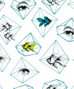 Mind The Gap Memphis To Miami Fish Eye Wallpaper