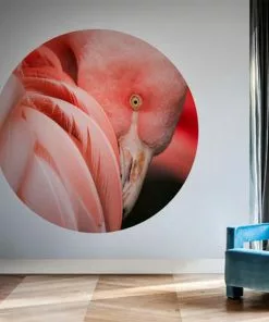 BN Memphis To Miami Wallpaper Circles Pretty Pink Flamingo