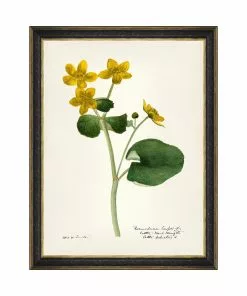 Mind The Gap MTG FRAMED ART AQUAFLORA - Watercolour Prints 12 Mind The Gap MTG FRAMED ART AQUAFLORA - Watercolour Prints