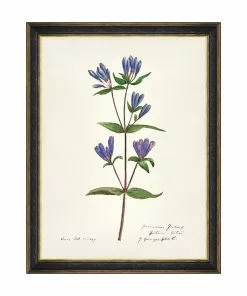 Mind The Gap MTG FRAMED ART AQUAFLORA - Watercolour Prints 13 Mind The Gap MTG FRAMED ART AQUAFLORA - Watercolour Prints