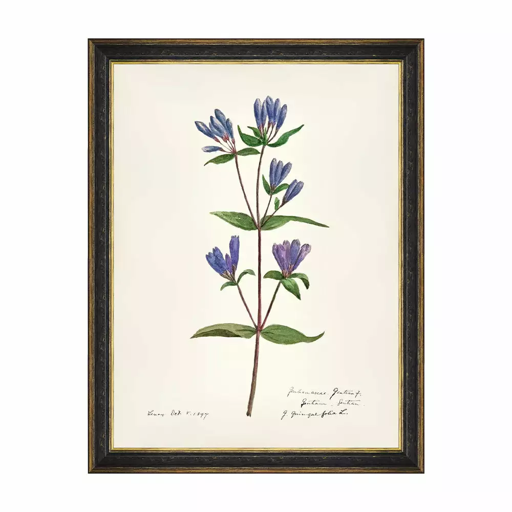 Mind The Gap MTG FRAMED ART AQUAFLORA - Watercolour Prints 5 Mind The Gap MTG FRAMED ART AQUAFLORA - Watercolour Prints