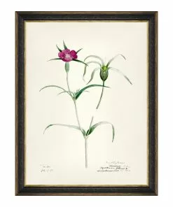 Mind The Gap MTG FRAMED ART AQUAFLORA - Watercolour Prints 14 Mind The Gap MTG FRAMED ART AQUAFLORA - Watercolour Prints