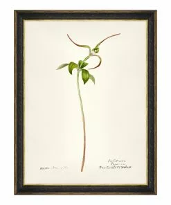 Mind The Gap MTG FRAMED ART AQUAFLORA - Watercolour Prints 15 Mind The Gap MTG FRAMED ART AQUAFLORA - Watercolour Prints