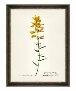 Mind The Gap MTG FRAMED ART AQUAFLORA - Watercolour Prints 16 Mind The Gap MTG FRAMED ART AQUAFLORA - Watercolour Prints