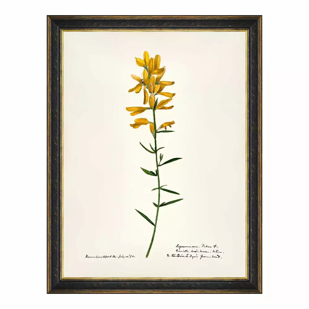 Mind The Gap MTG FRAMED ART AQUAFLORA - Watercolour Prints 8 Mind The Gap MTG FRAMED ART AQUAFLORA - Watercolour Prints