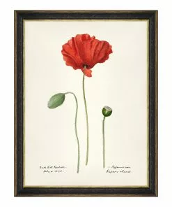 Mind The Gap MTG FRAMED ART AQUAFLORA - Watercolour Prints 17 Mind The Gap MTG FRAMED ART AQUAFLORA - Watercolour Prints