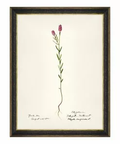 Mind The Gap MTG FRAMED ART AQUAFLORA - Watercolour Prints 19 Mind The Gap MTG FRAMED ART AQUAFLORA - Watercolour Prints