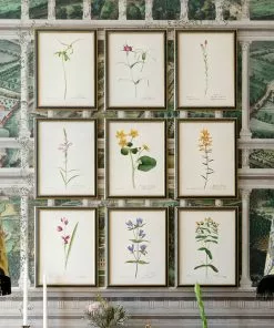 Mind The Gap MTG FRAMED ART AQUAFLORA - Watercolour Prints