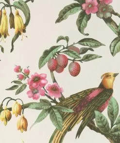 BN Fiore Aviary Bird Wallpaper Dark Rose & Thorn 20 BN Fiore Aviary Bird Wallpaper Dark Rose & Thorn