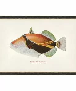 Mind The Gap Humuhumu Fish Wall Art Havana Tropicana