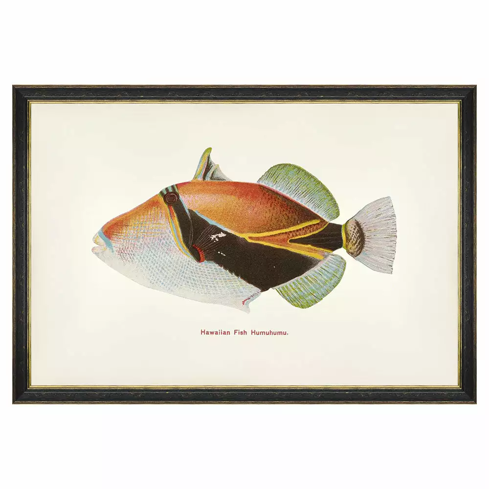 Mind The Gap Humuhumu Fish Wall Art Havana Tropicana 3 Mind The Gap Humuhumu Fish Wall Art Havana Tropicana