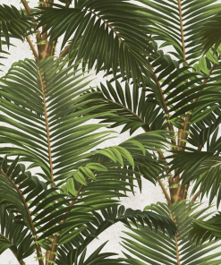 Mind The Gap Jardin Tropical Wallpaper