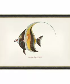 Mind The Gap Havana Tropicana Kihikihi Fish Wall Art