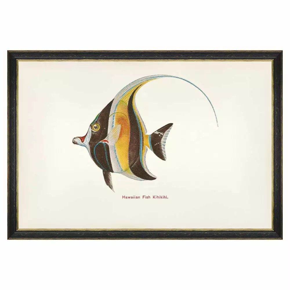 Mind The Gap Havana Tropicana Kihikihi Fish Wall Art 3 Mind The Gap Havana Tropicana Kihikihi Fish Wall Art