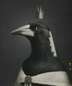 Ibride La Pie Portrait Tray Les Jardins Royaux 8 Ibride La Pie Portrait Tray Les Jardins Royaux