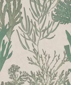 Mind The Gap Light Corals Wallpaper Blue Skies Ahead