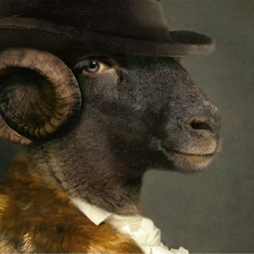 Ibride Mille De Maupin Collector Portraits 4 Ibride Mille De Maupin Collector Portraits