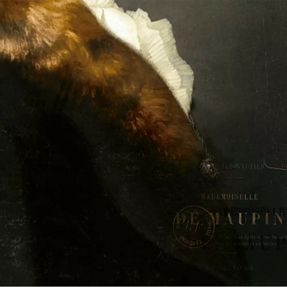 Ibride Mille De Maupin Collector Portraits 5 Ibride Mille De Maupin Collector Portraits