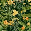 Mind The Gap Mimulus Anthracite Wallpaper