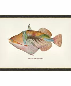 Mind The Gap Havana Tropicana Nakunuku Fish Wall Art