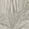 BN Palm Grass Wallpaper
