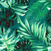 Mind The Gap Havana Tropicana Rainforest Wallpaper