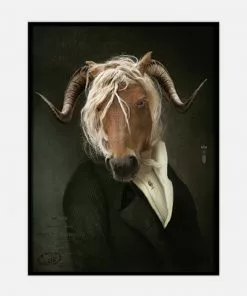 New Ibride Ragnastic Collector Portraits