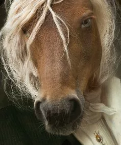 New Ibride Ragnastic Collector Portraits 8 New Ibride Ragnastic Collector Portraits