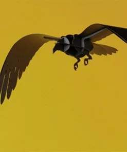 Ibride Adam Decorative Black Ravens Folk Couture 7 Ibride Adam Decorative Black Ravens Folk Couture