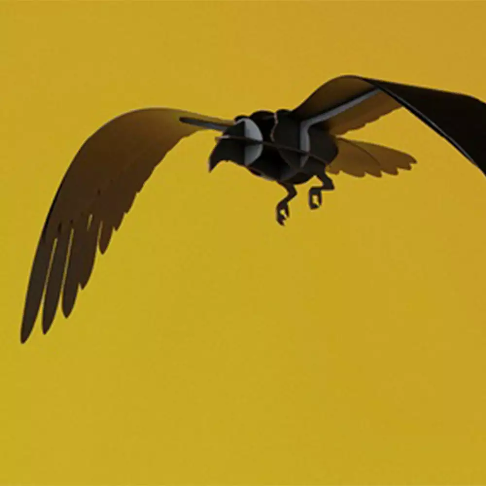 Ibride Adam Decorative Black Ravens Folk Couture 5 Ibride Adam Decorative Black Ravens Folk Couture