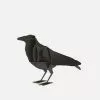 Folk Couture Ibride Edgar - Decorative Ravens