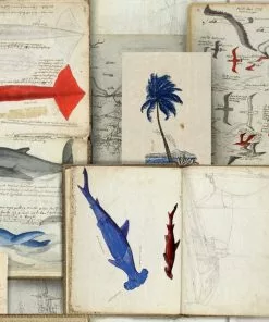 Mind The Gap Seaman's Journal Indigo Wallpaper Blue Skies Ahead