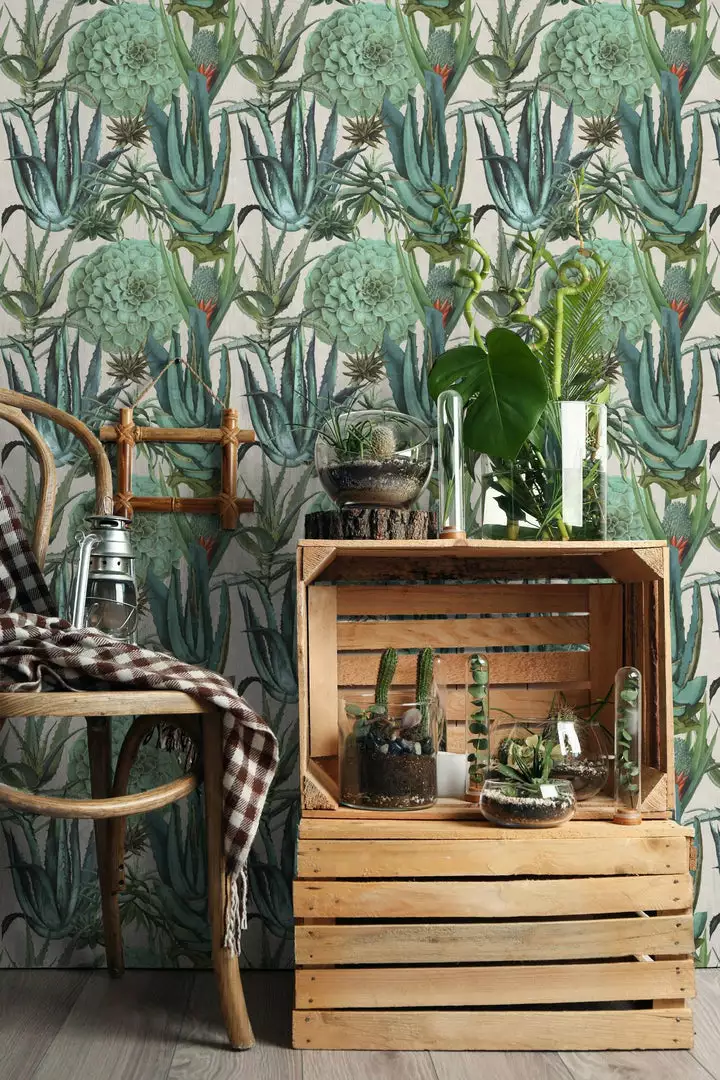 Mind The Gap Havana Tropicana Succulentus Anthracite Wallpaper 6 Mind The Gap Havana Tropicana Succulentus Anthracite Wallpaper
