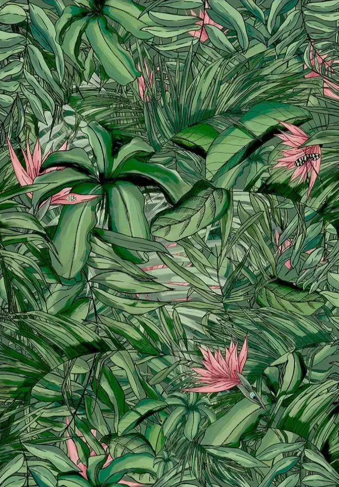 Brand Mckenzie Tropical Forest Forest Wallpaper, Dark Green & Pink Wallpaper & Paint 5 Brand Mckenzie Tropical Forest Forest Wallpaper, Dark Green & Pink Wallpaper & Paint