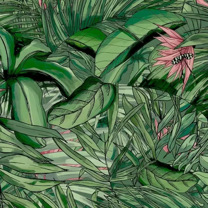Brand Mckenzie Tropical Forest Forest Wallpaper, Dark Green & Pink Wallpaper & Paint 3 Brand Mckenzie Tropical Forest Forest Wallpaper, Dark Green & Pink Wallpaper & Paint