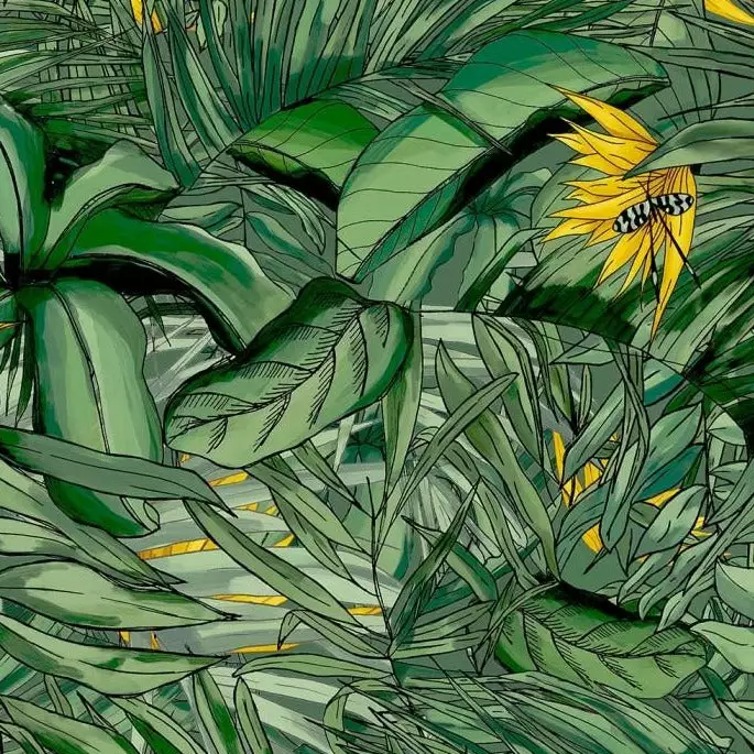Brand Mckenzie Tropical Forest Wallpaper, Dark Green & Yellow Rose & Thorn 3 Brand Mckenzie Tropical Forest Wallpaper, Dark Green & Yellow Rose & Thorn