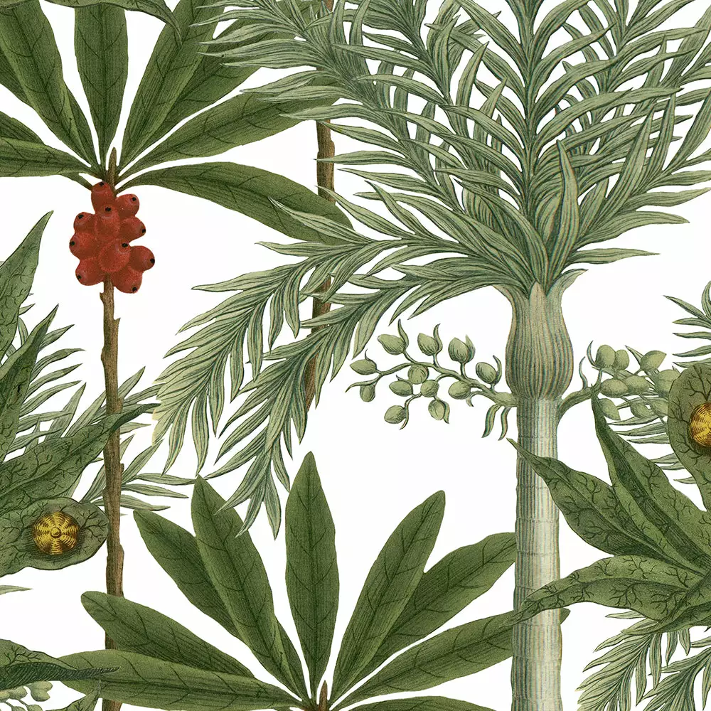 Havana Tropicana Mind The Gap Linen Fabrics, Madagascar 3 Havana Tropicana Mind The Gap Linen Fabrics, Madagascar