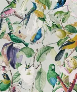 Mind The Gap New Tropical Birds Wallpaper