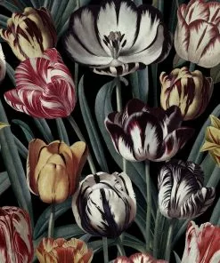 Mind The Gap Tulipa Dark Wallpaper