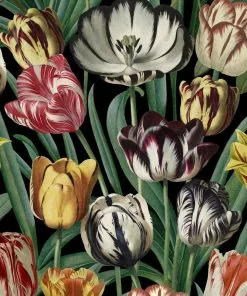 Mind The Gap Tulipa Wallpaper