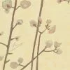 Thedesignyarduk Van Gogh Wallpaper Flowering Plum Orchid Sunlight Cream Les Jardins Royaux